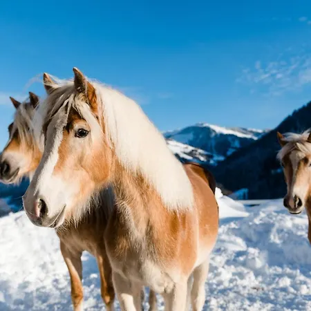 Beim Hochfilzer Superior 4 Sterne 4* Söll