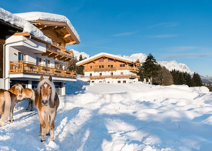 فندق Beim Hochfilzer Superior 4 Sterne