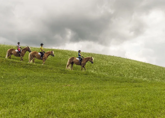 Beim Hochfilzer Superior 4 Sterne سول